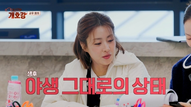 사진=JTBC ‘집 나가면 개호강’